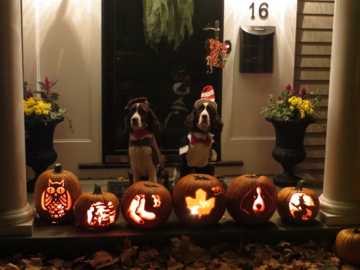 In addition to the Red Sox pumpkin, Hudson the Springer Spaniel (shown with pal Stanley) gets a carving devoted to him