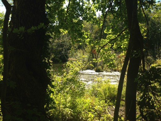 Abbott Pond Wellesley (from rte 9)