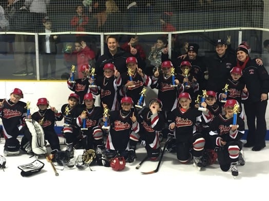 wellesley mites