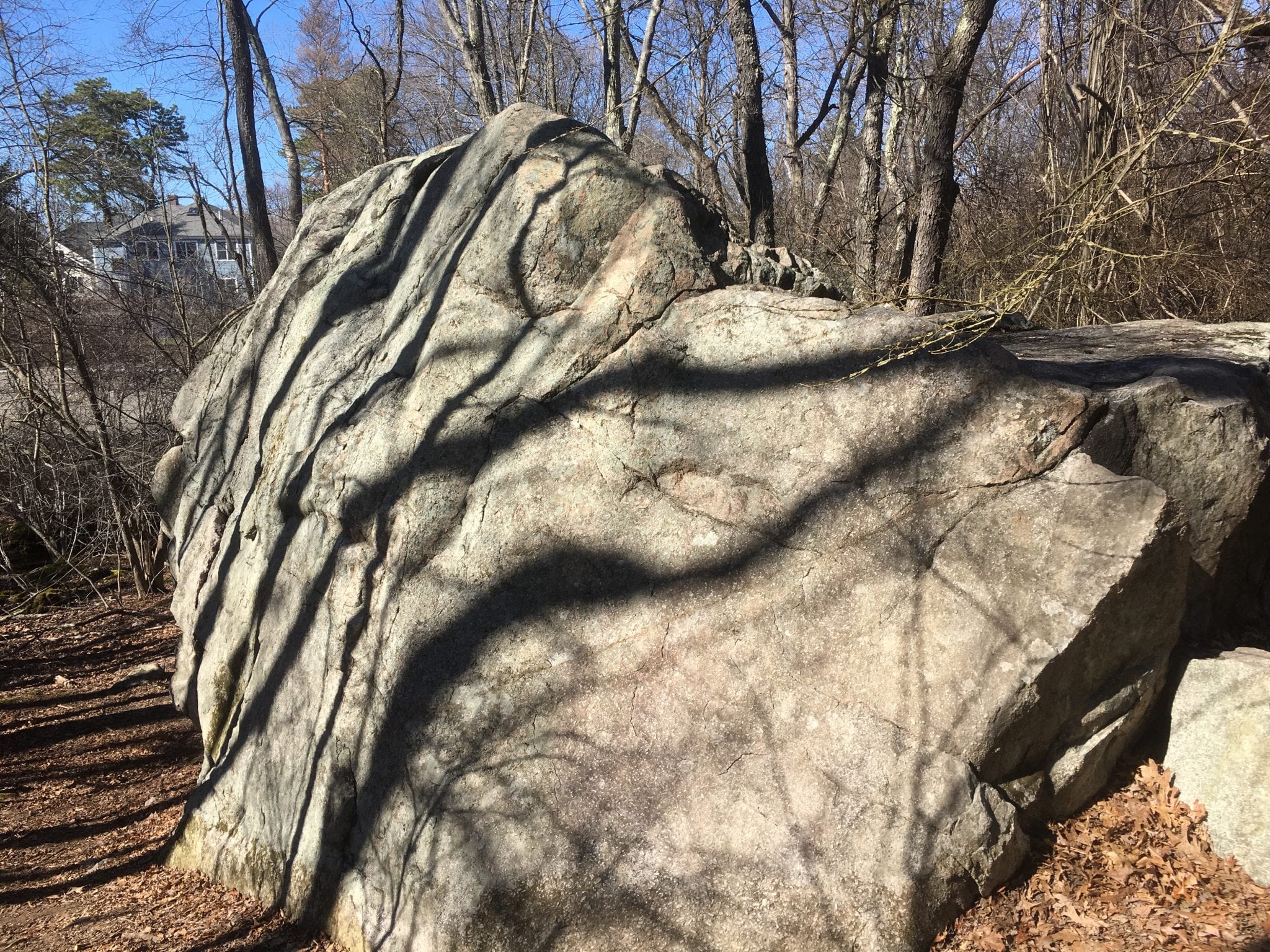 wellesley trails boulder brook reservation