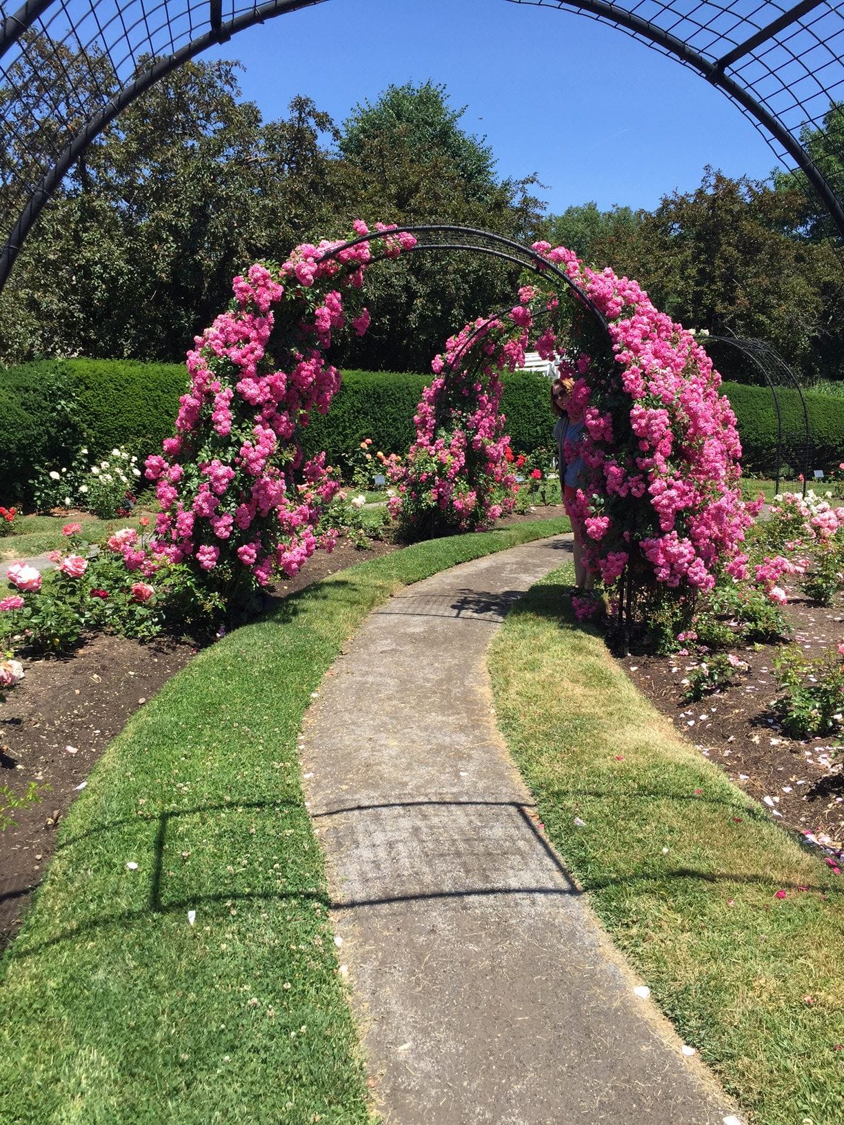 Kelleher Rose Garden, Boston