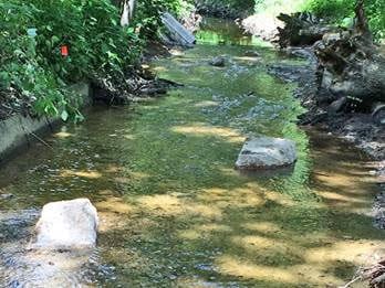 Fuller Brook Park project