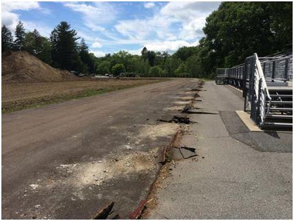 Wellesley HS track and field project