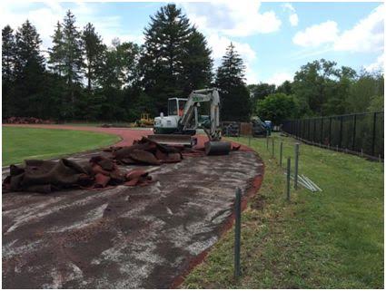 Wellesley HS track and field project