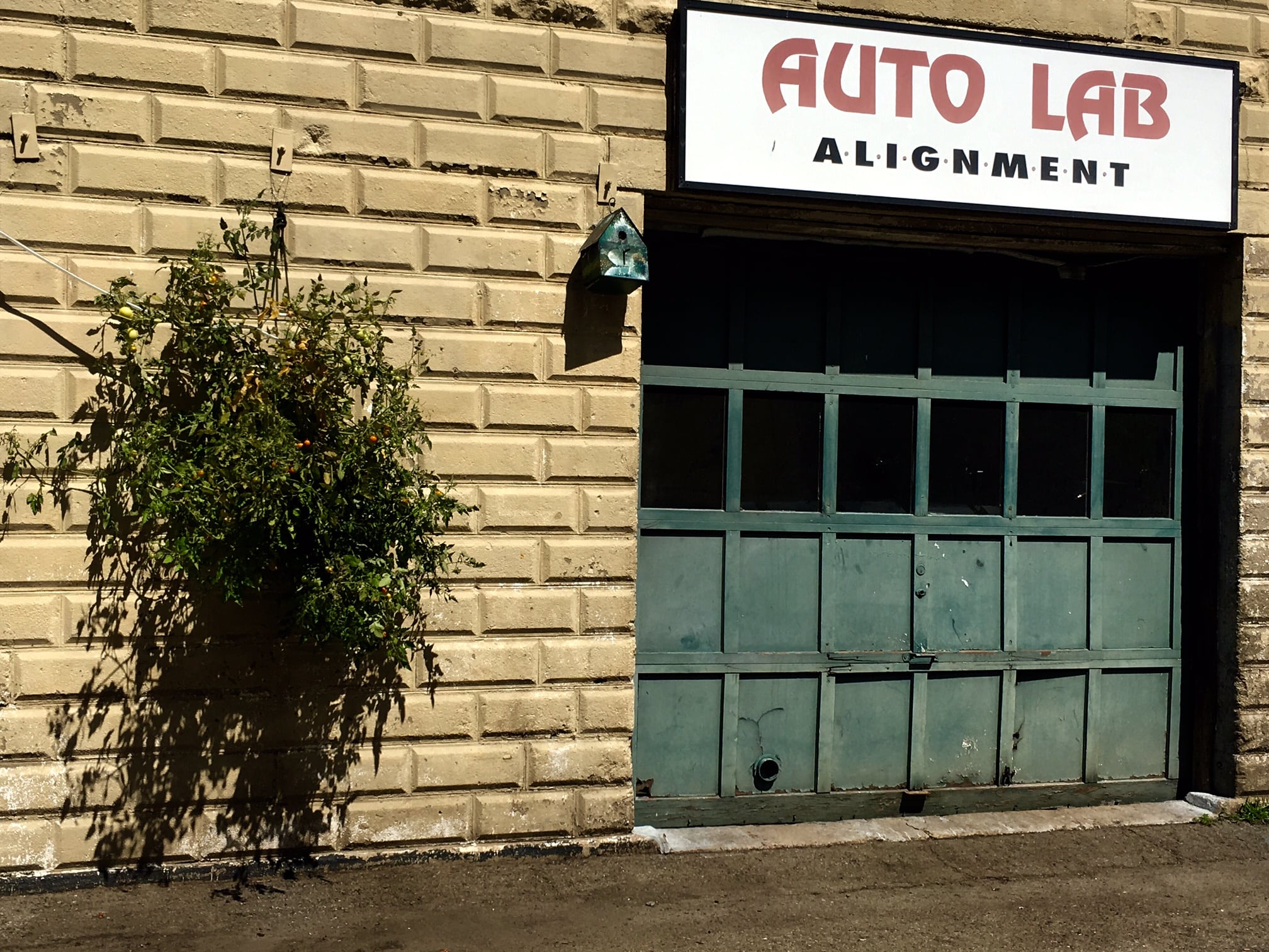 Auto Lab garden, Wellesley