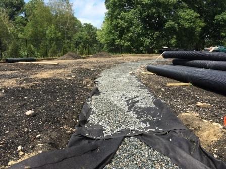 Wellesley Track & Field project