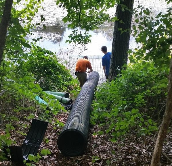 Wellesley Beaver Dam