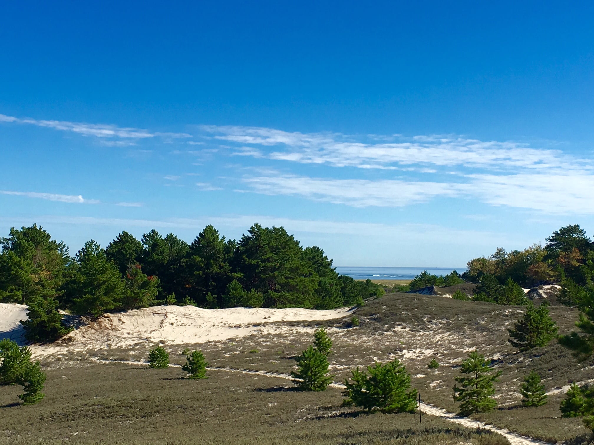 About 30 minutes into your hike, you will start to glimpse water views.