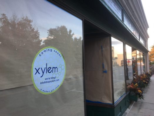 Xylem wellesley