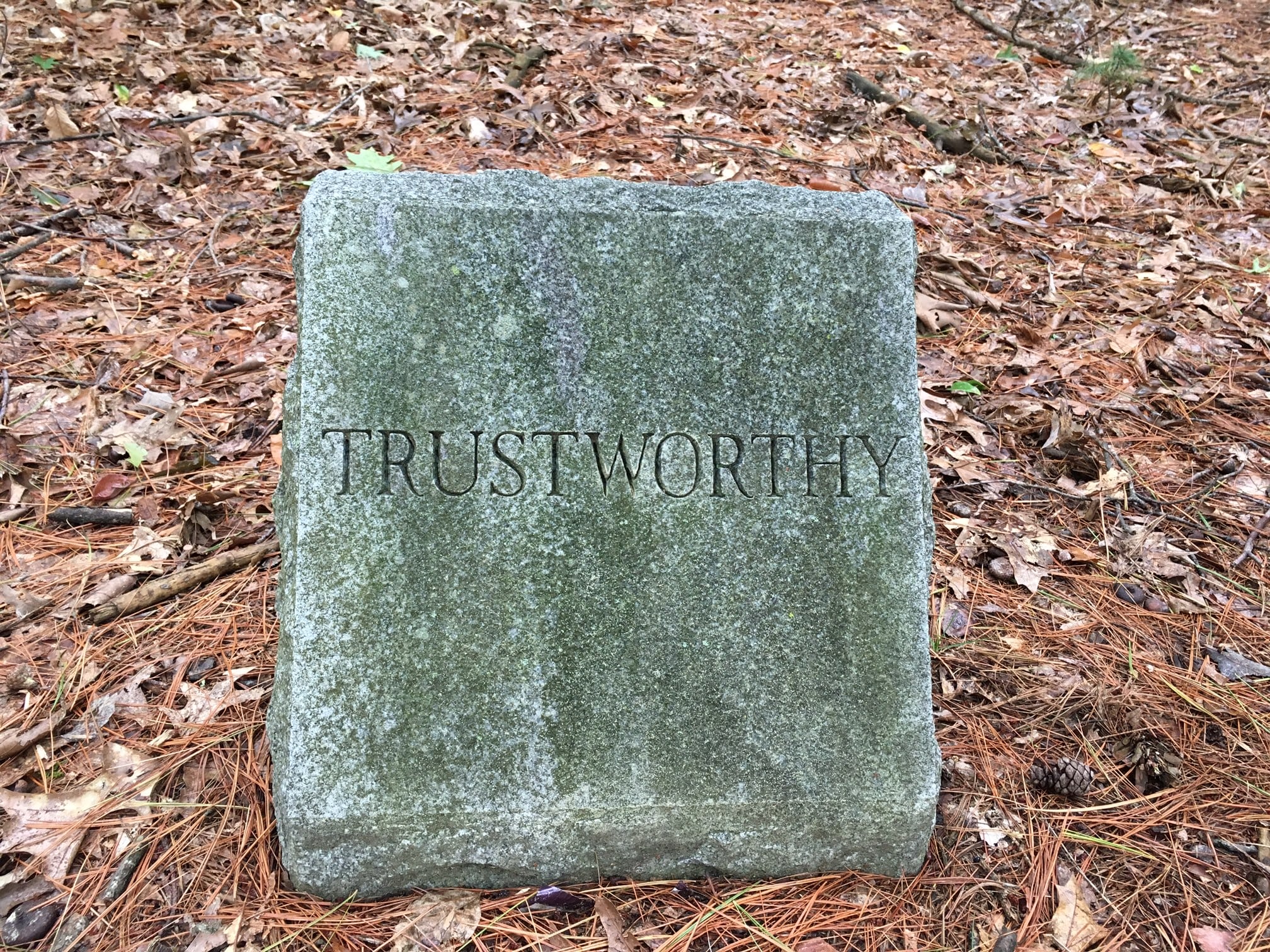 The marker stones at the Andersen Memorial list what all scouts strive to be: Trustworty, Loyal, Helpful, Friendly, Courteous, Kind, Obedient, Cheerful, Thrifty, Brave, Reverent. Make your kids tell each other which one they each most embody.
