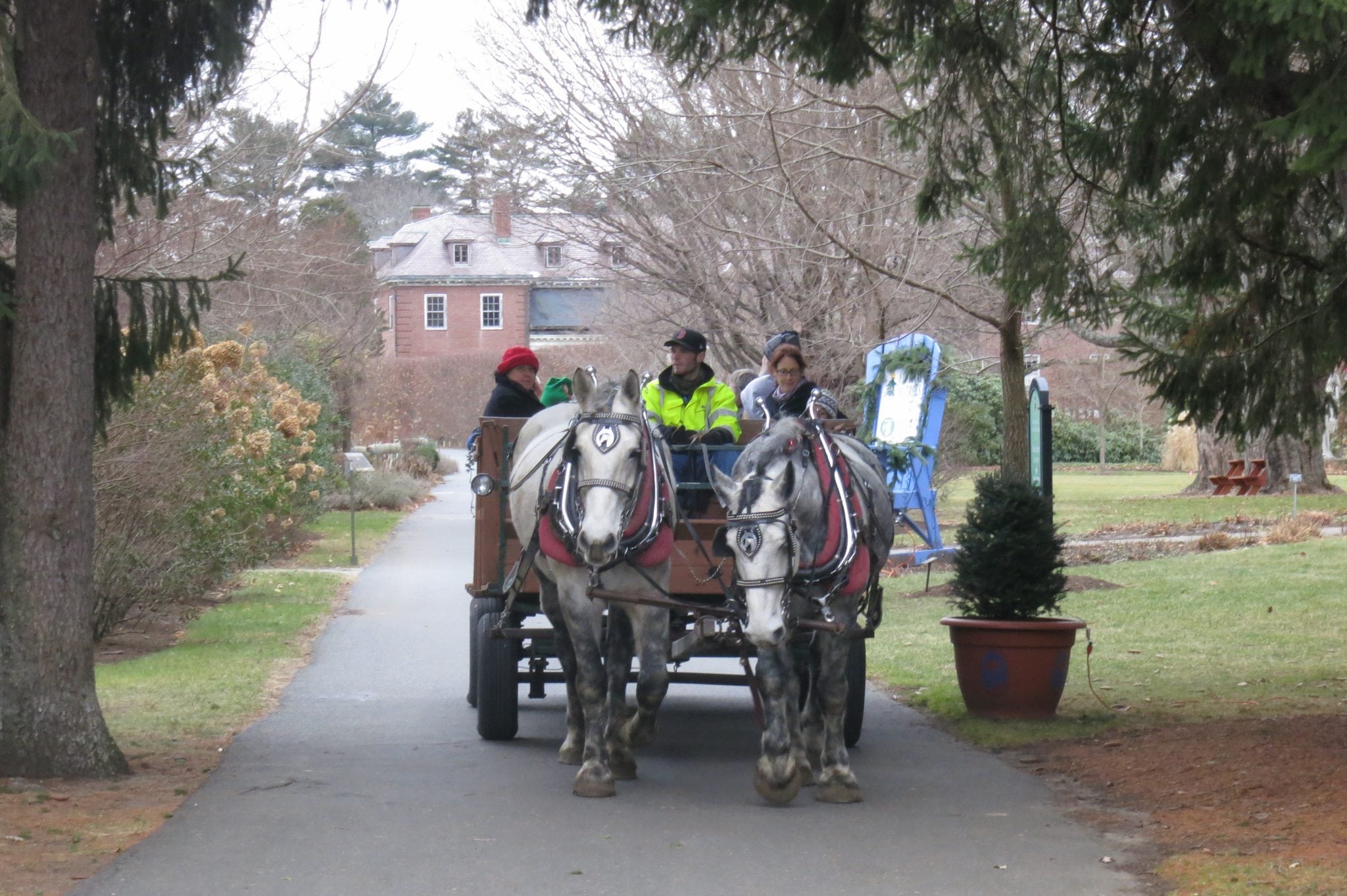 Enjoy a wagon ride duing Mass Hort's Festival of Trees celebration. Photo credit: Mass Hort