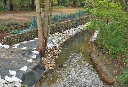 Wellesley's Fuller Brook Park, Winter 2016