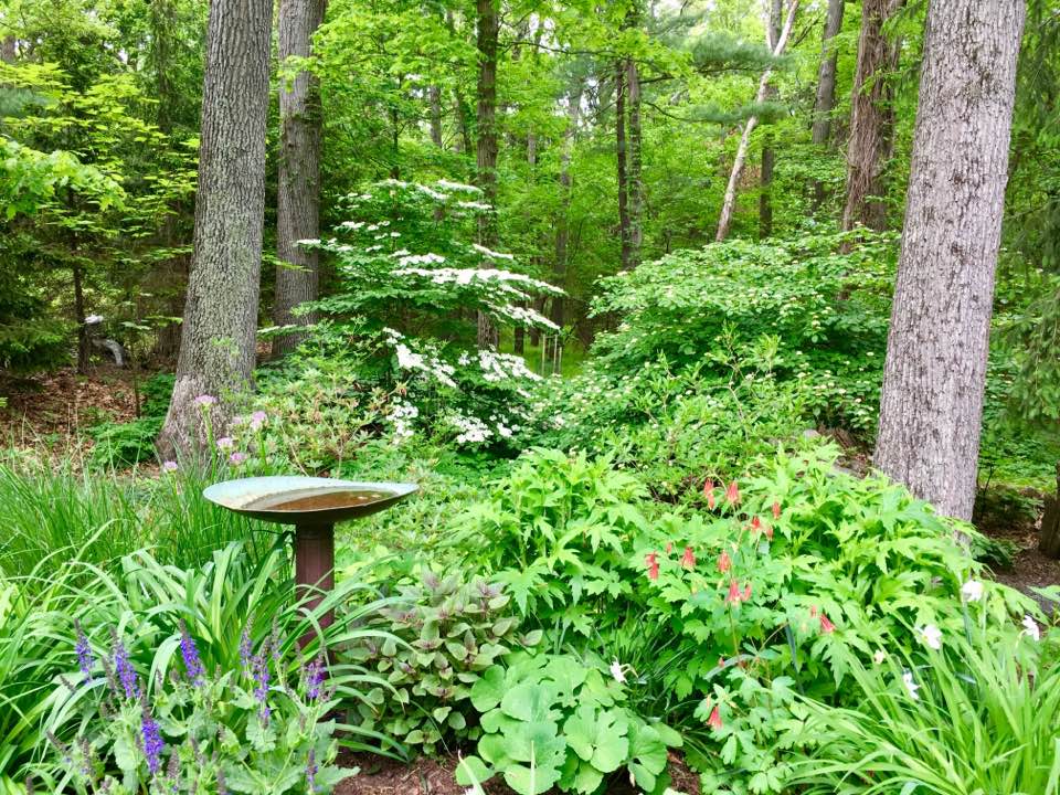 Secret Garden, Wellesley