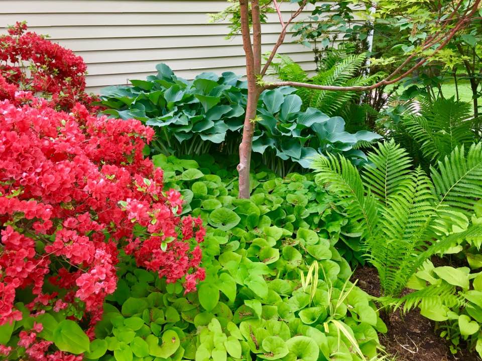 Wellesley Secret Garden