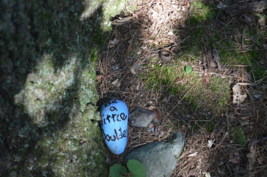 Be a Little Boulder kindness rock, North 40, Wellesley