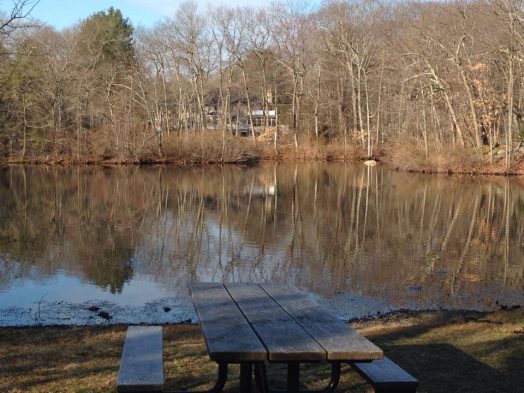 Rockridge Pond, Wellesley, picnic table