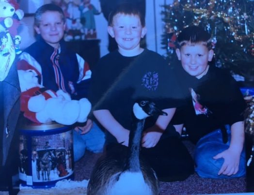 Gus the Goose, Wellesley post office