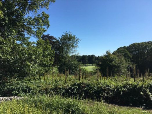 Centennial Park, Wellesley
