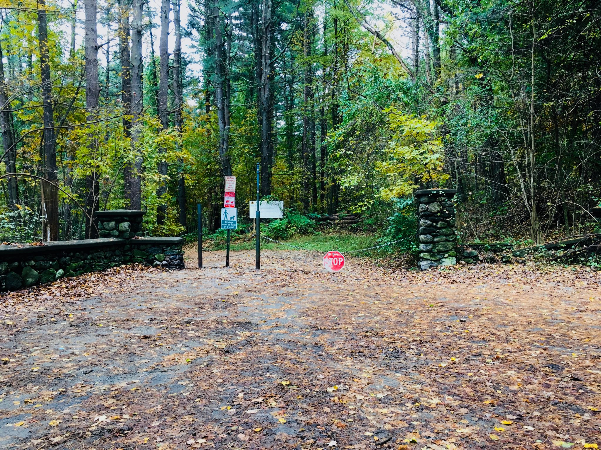 Gates Pond, Berlin, Massachusetts