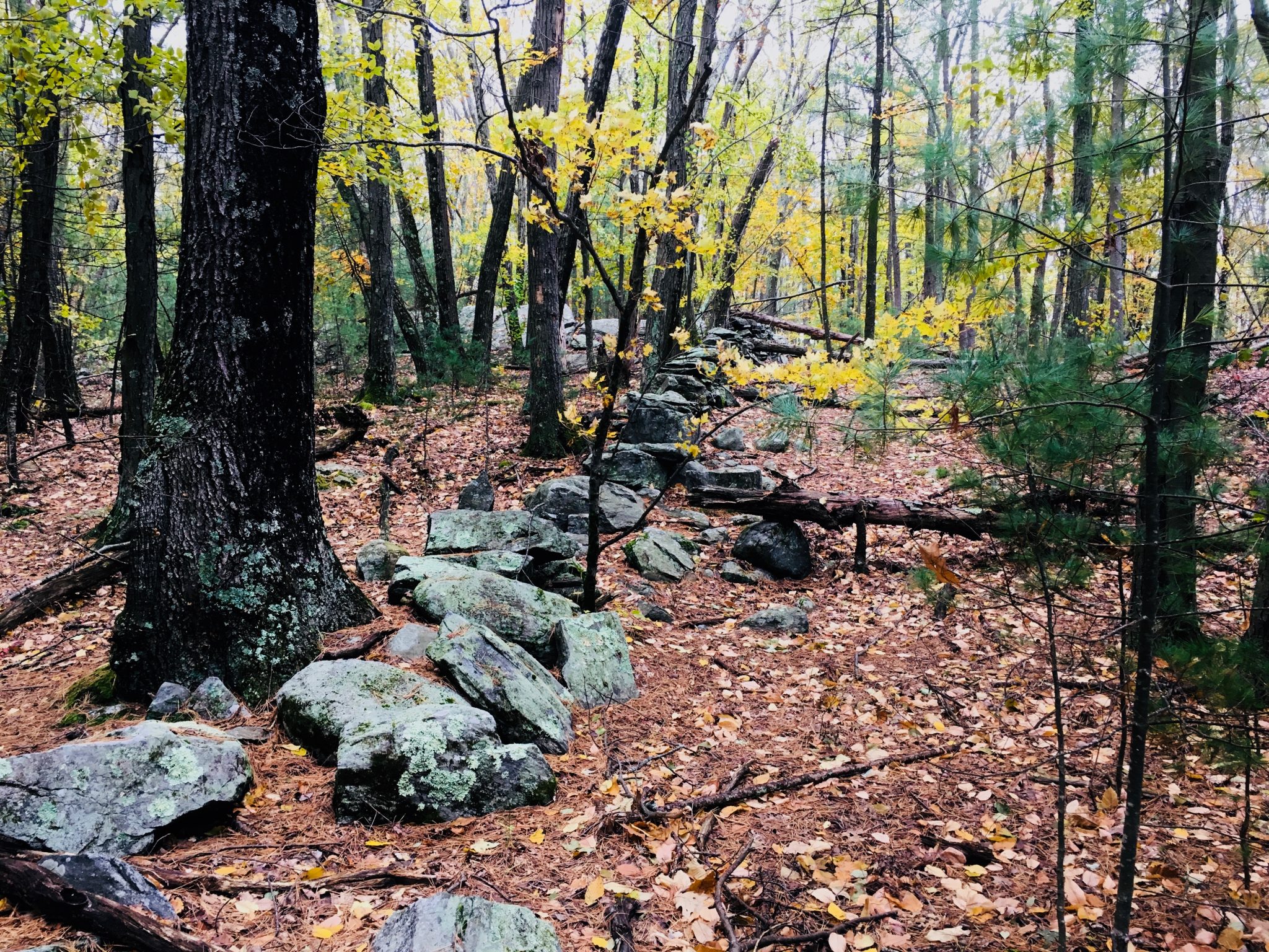 Gates Pond, Berlin, Massachusetts