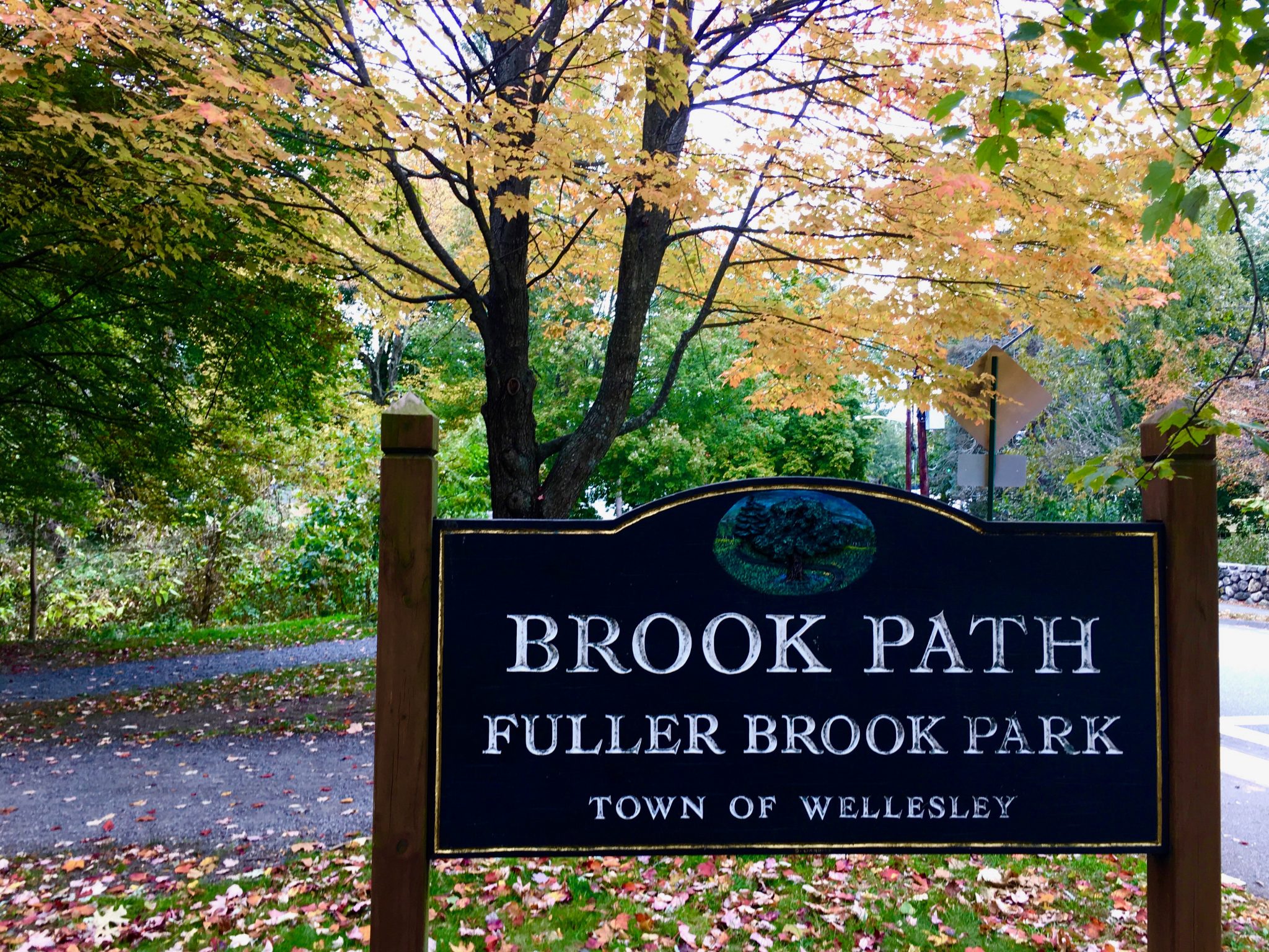Brook Path, Wellesley, autumn