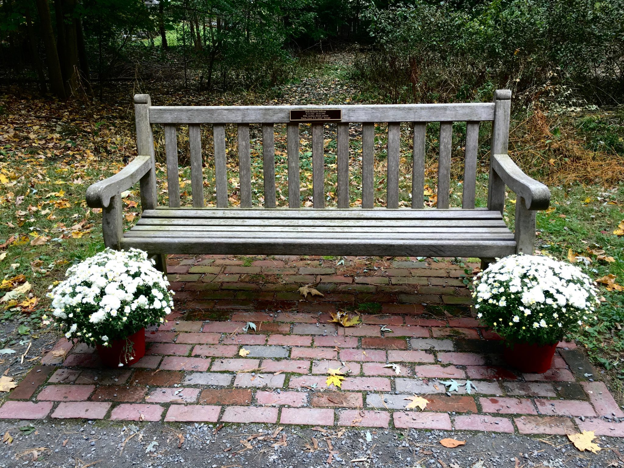 Brook Path, Wellesley, autumn