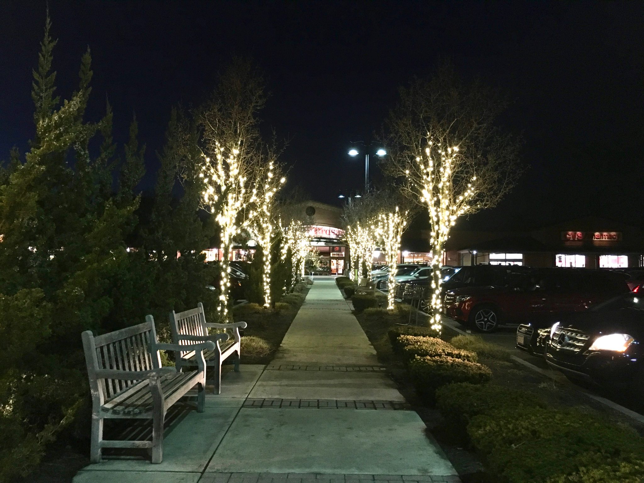 Linden Square, Christmas Tree Lighting