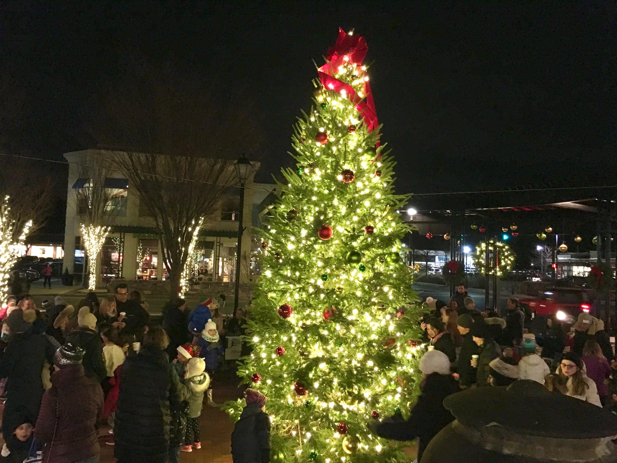 Linden Square, Christmas Tree