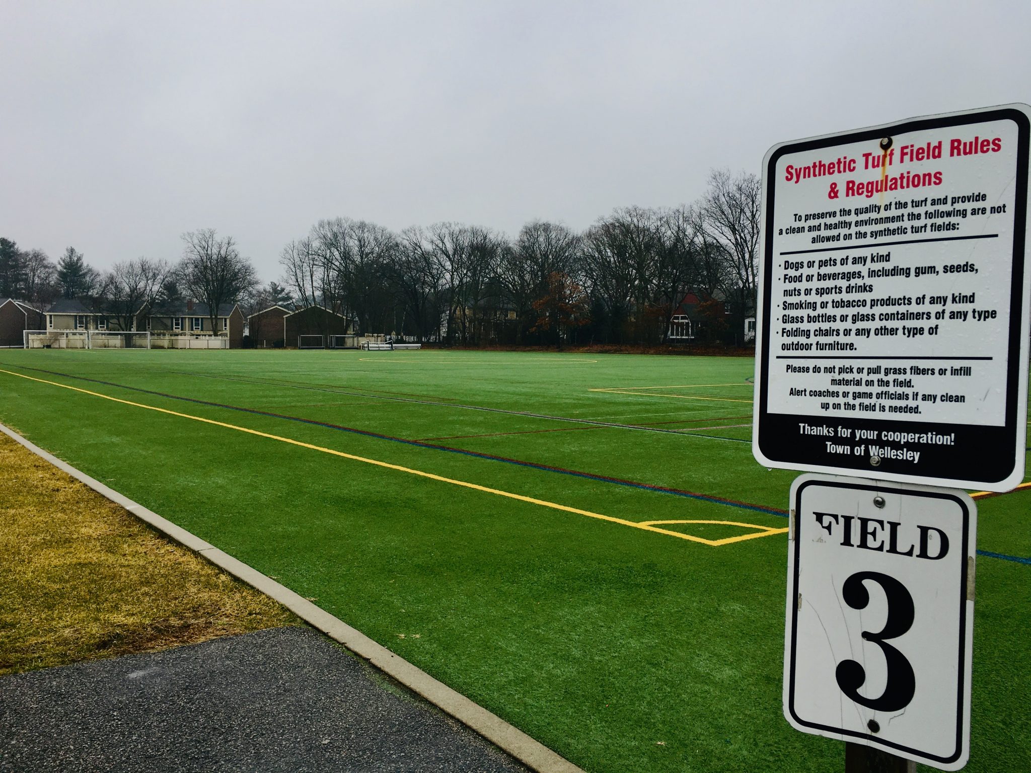 Wellesley Sprague Field 3