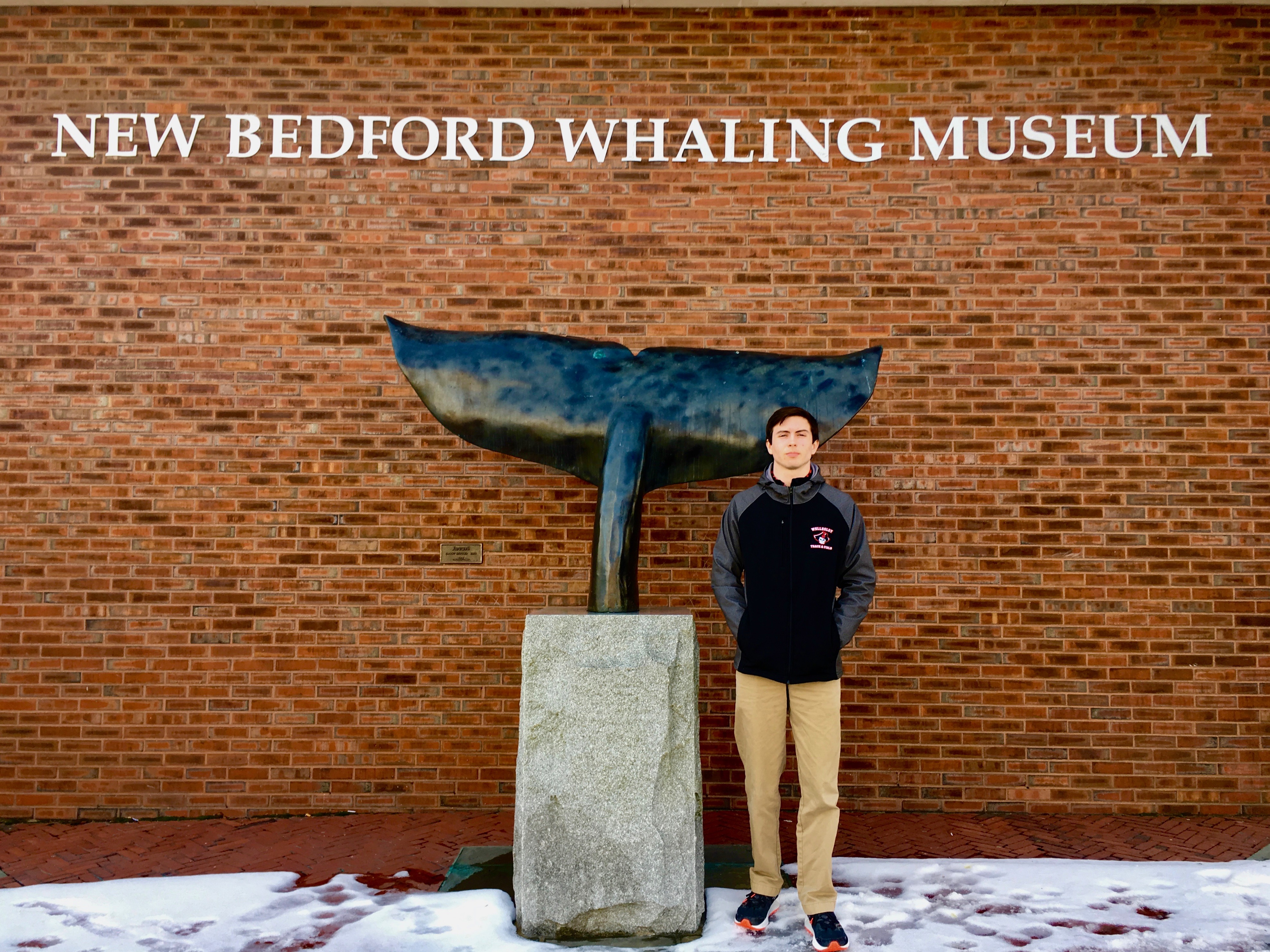 New Bedford Whaling Museum
