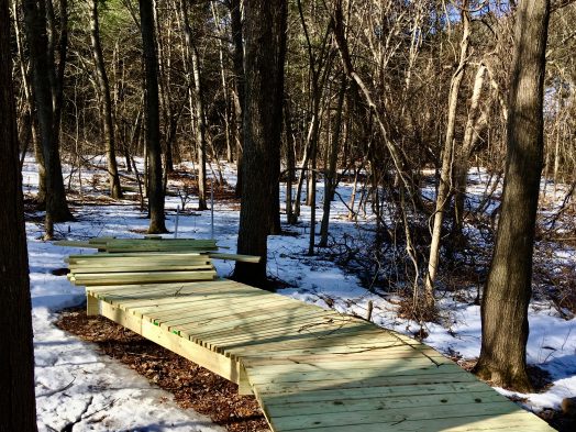 Wellesley North 40, Spring