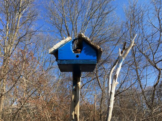 Wellesley North 40, Spring