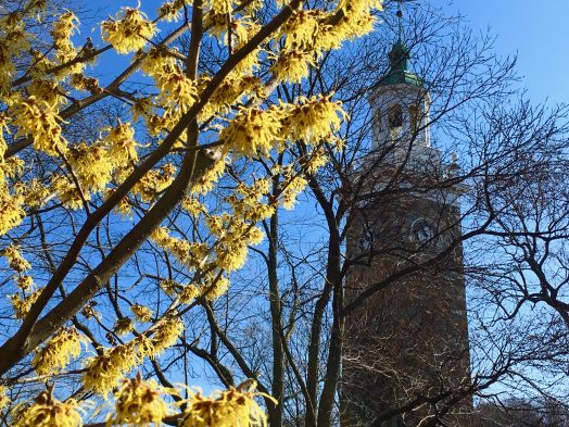 Wellesley Clock Tower, Spring