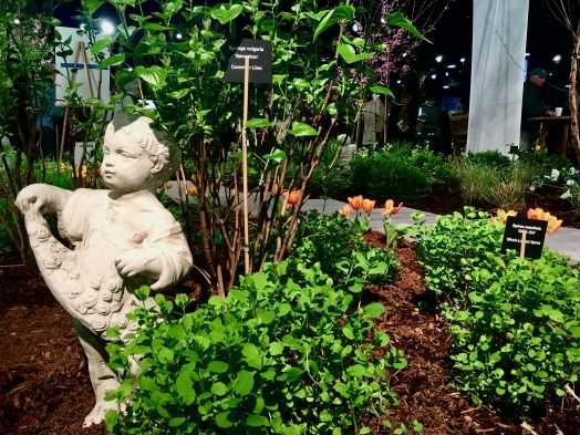 Boston Flower Show