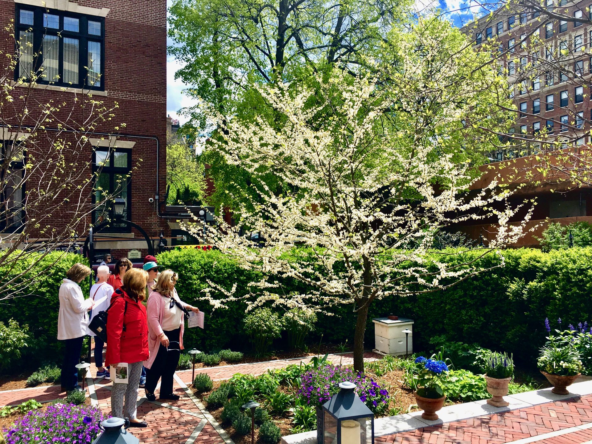 Beacon Hill Garden Tour