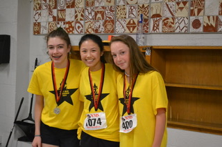wellesley mini marathon