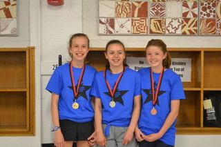 wellesley mini marathon