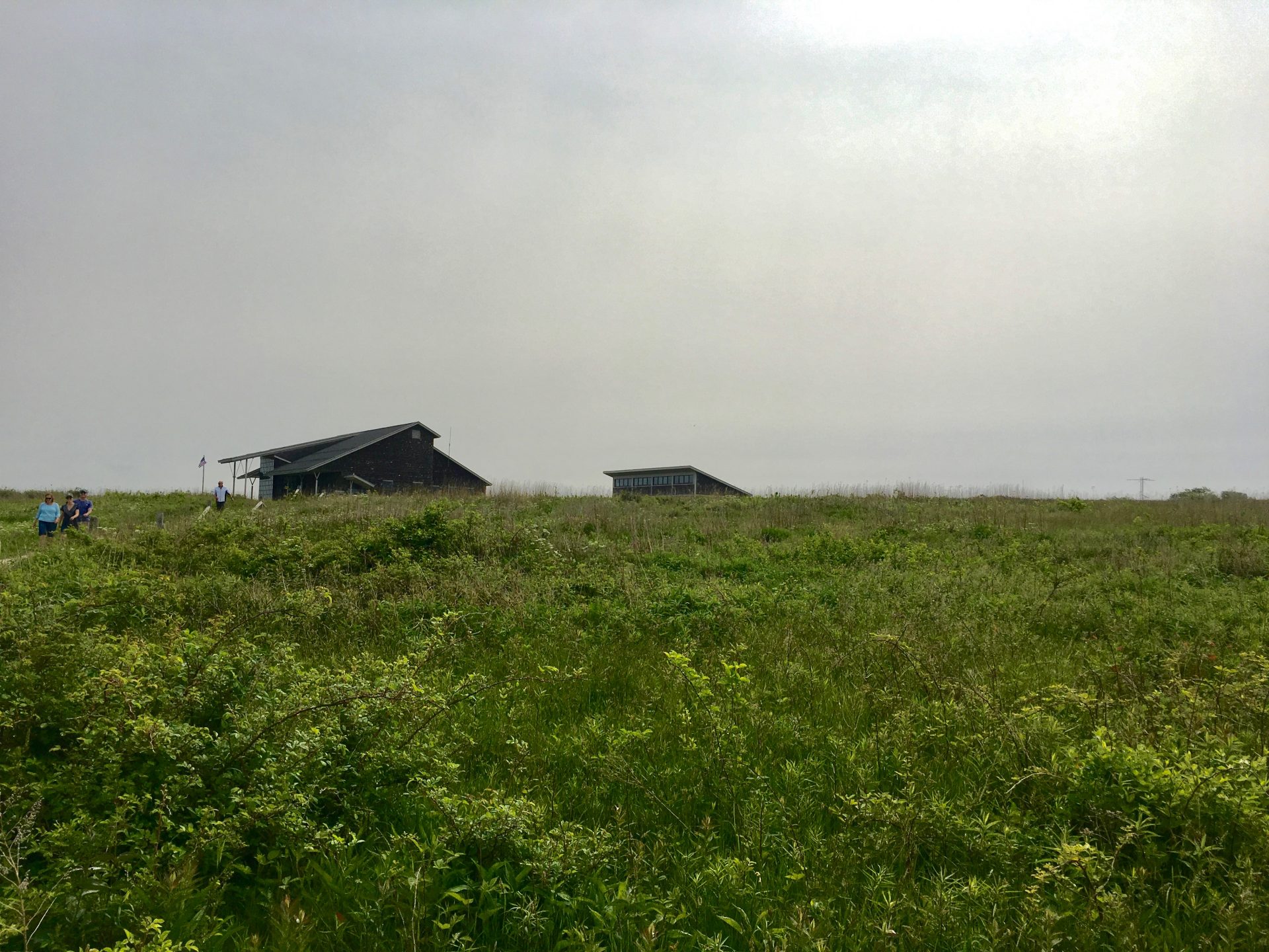 Sachuest point national wildlife refuge