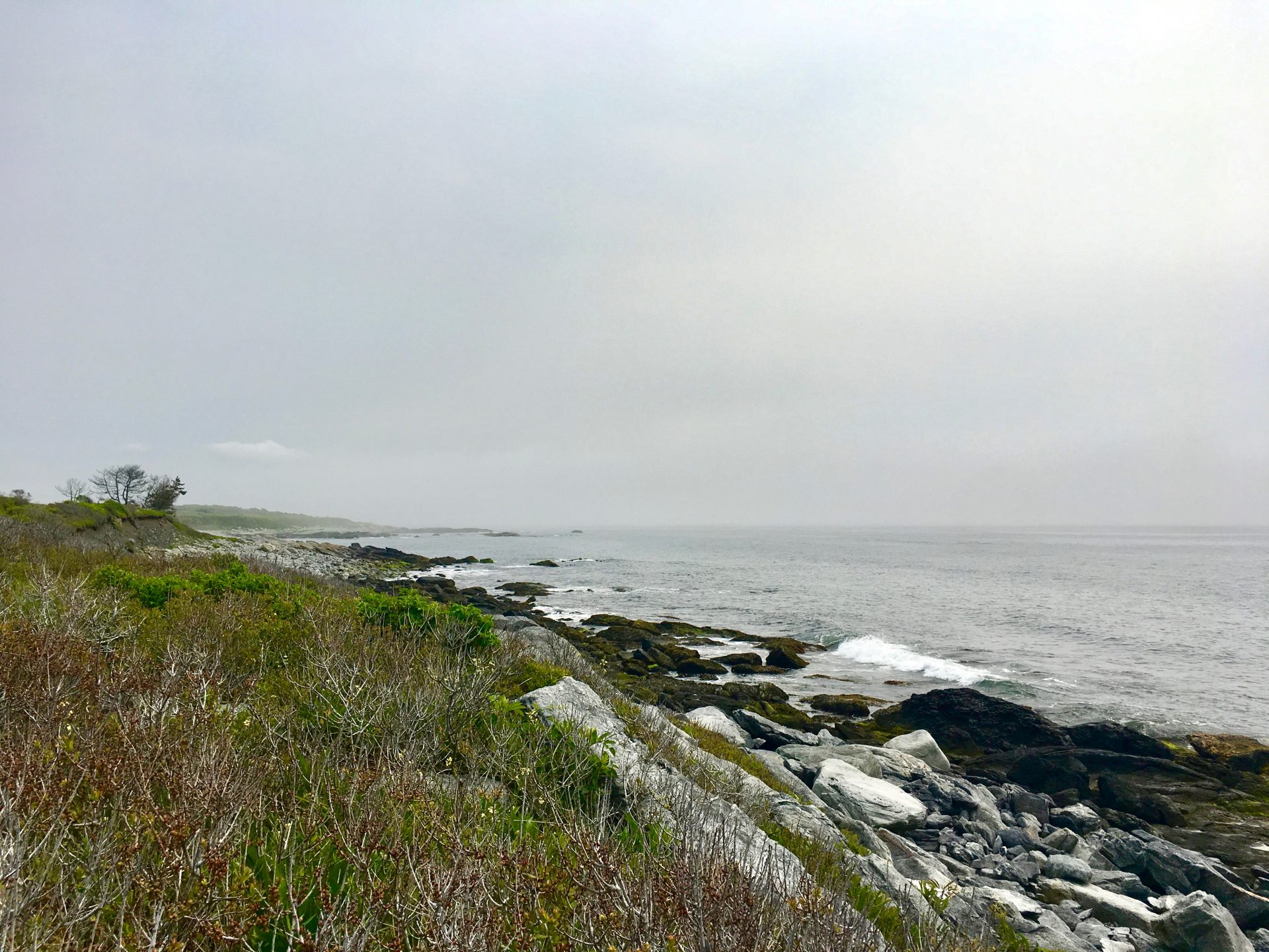 Sachuest point national wildlife refuge