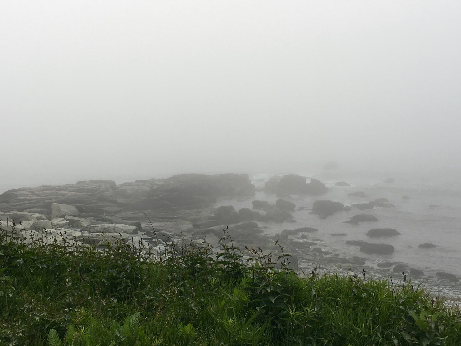 Sachuest point national wildlife refuge