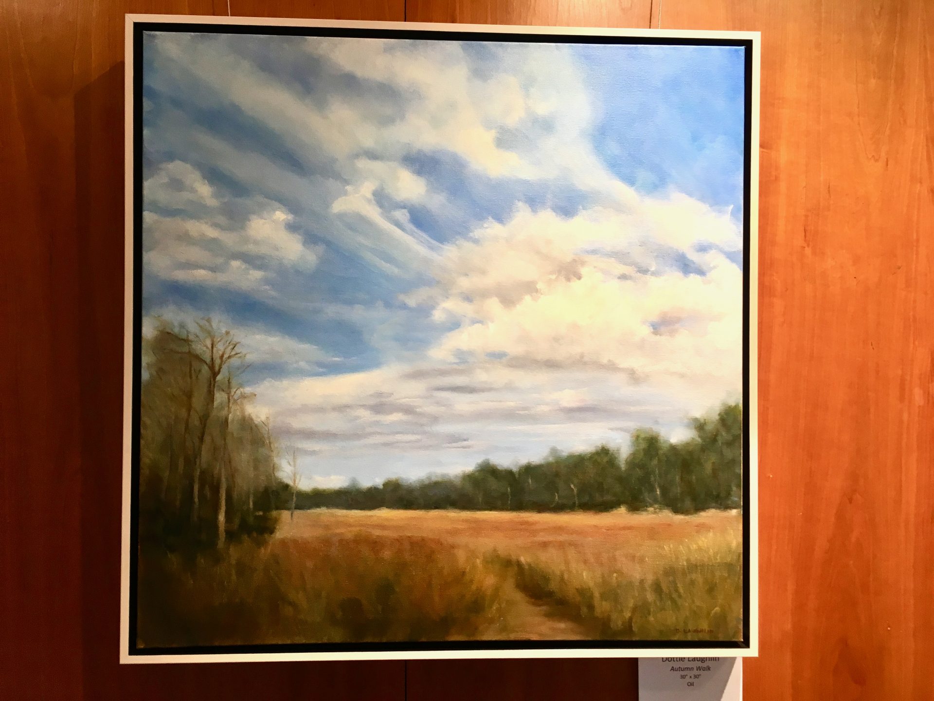 Wellesley Library Senior Art Show