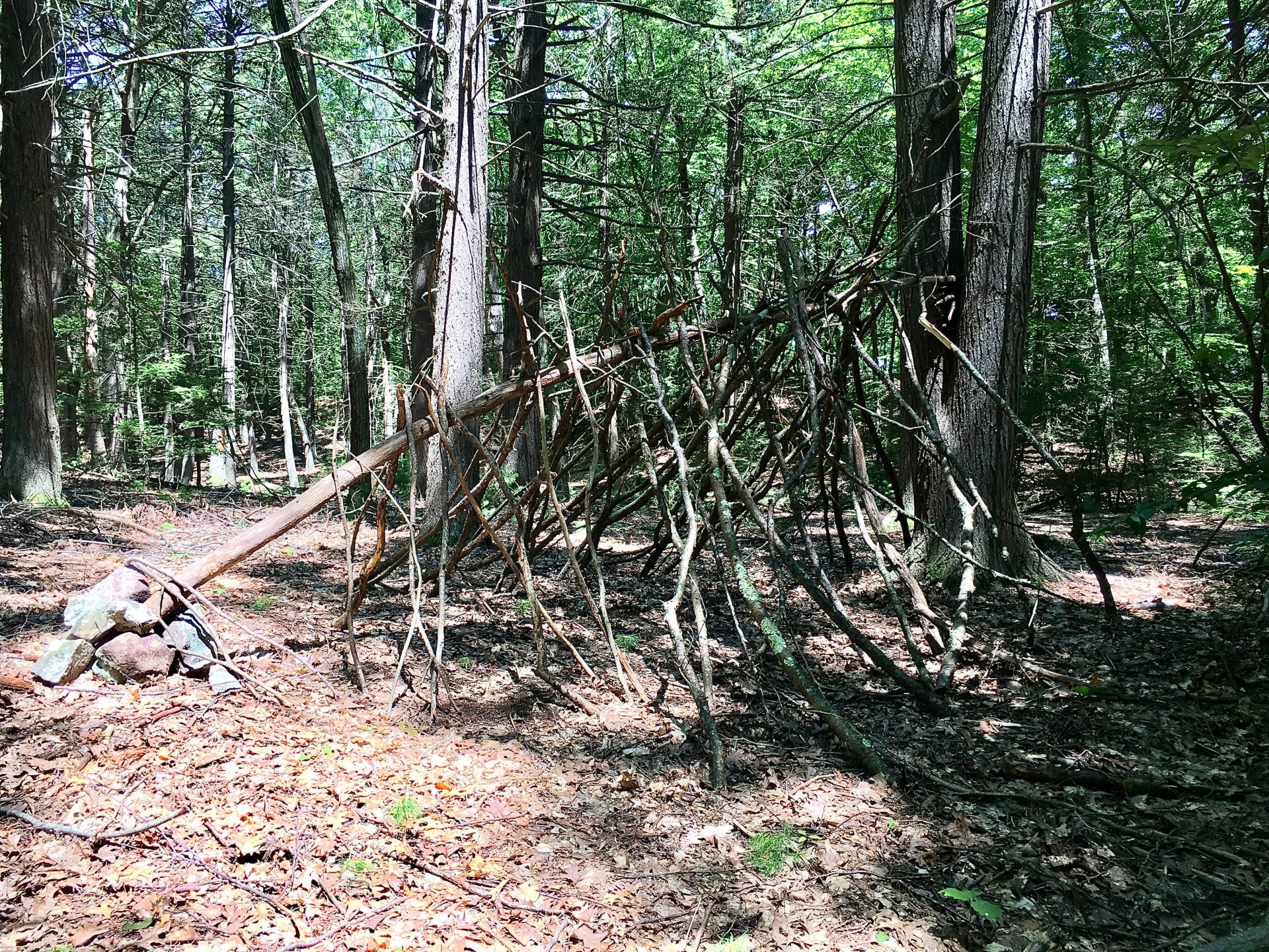 Lake Waban, stick house, Wellesley