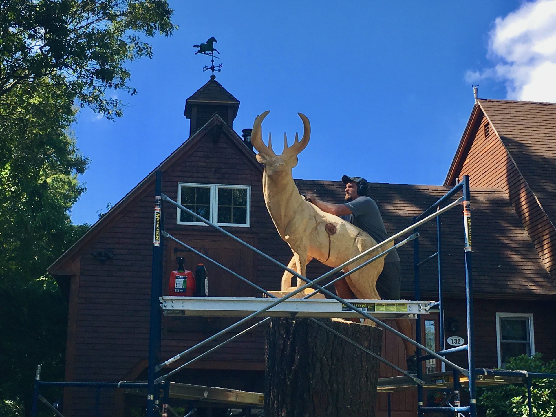 Wellesley tree carving