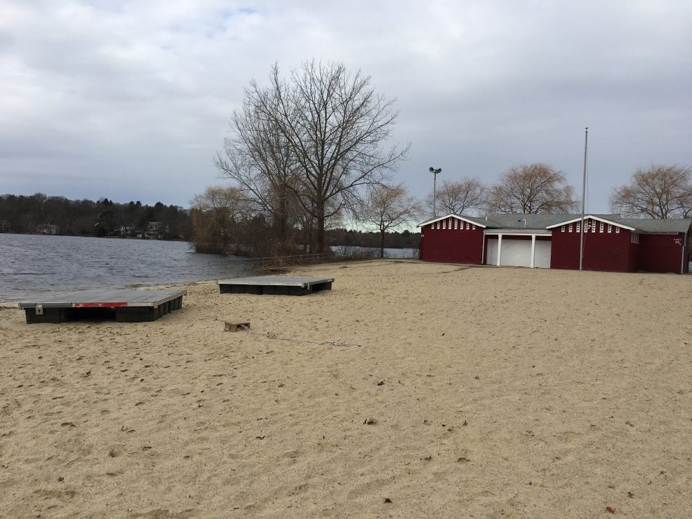 Morses Pond Beach, Winter 2019