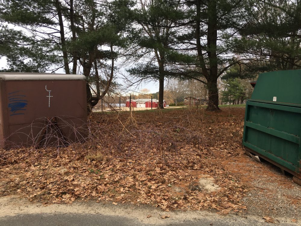 Morses Pond area, Winter 2019
