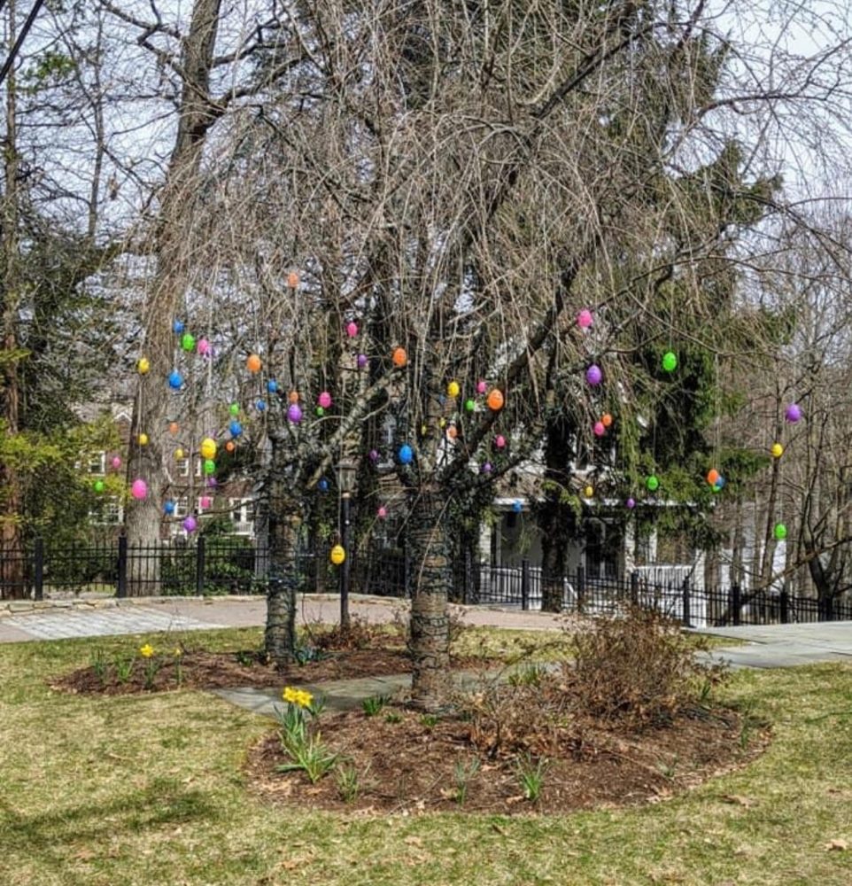 Wellesley Girl Scout Good Egg project