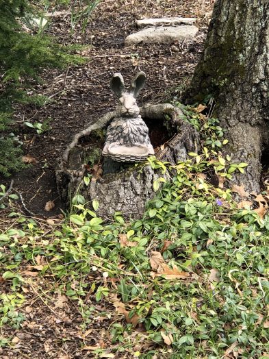 fuller road bunny