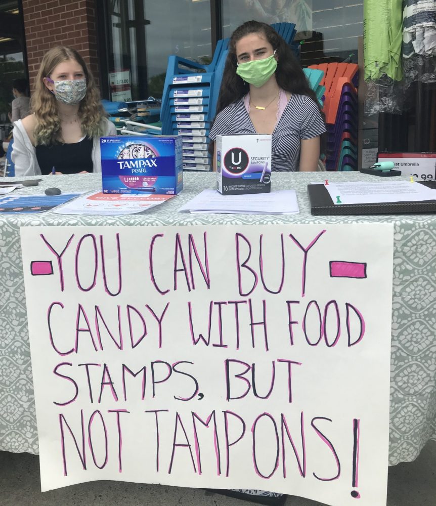 wellesley girl scouts