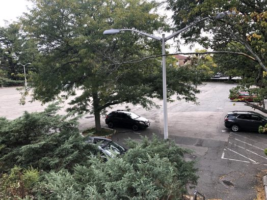 wellesley tailby lot