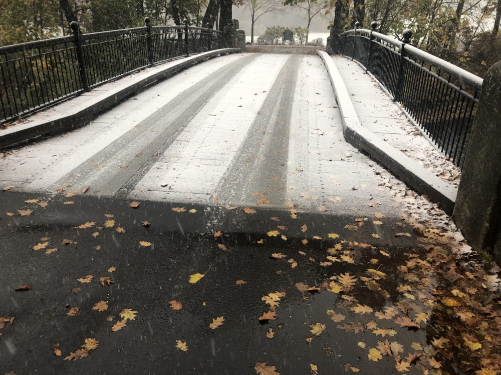 cheney bridge elm bank